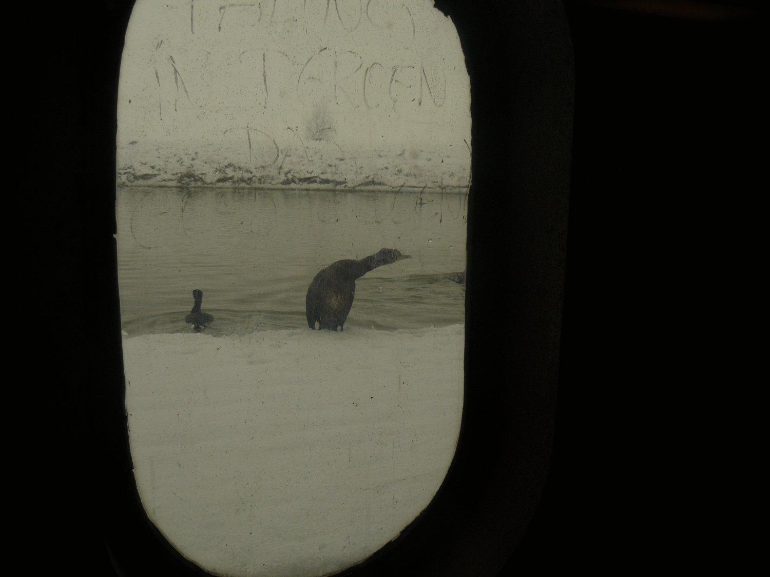De Boot Hotell Merkem Exteriör bild